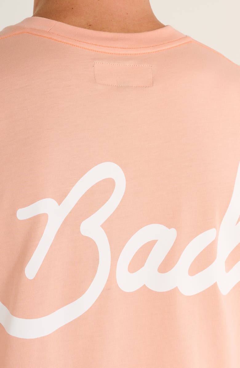 Bad Birdie Bad Graphic T-Shirt, Alternate, color,