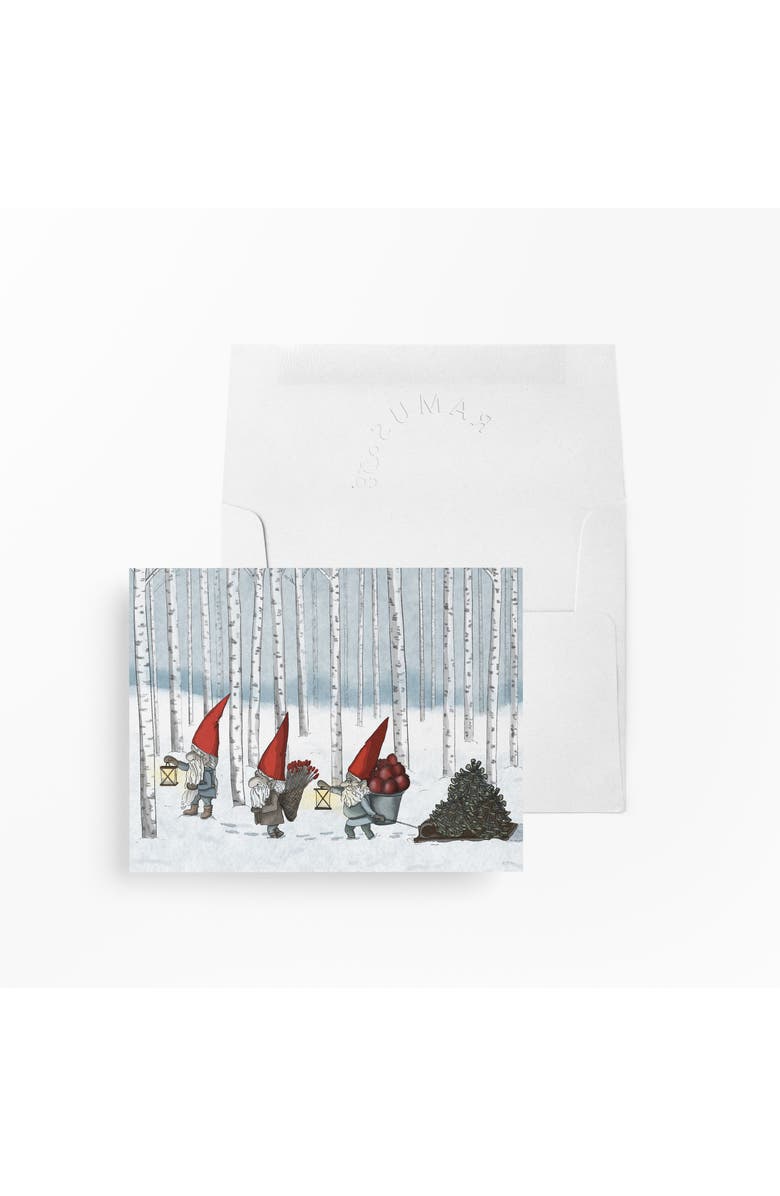 Ramus & Co Holiday Winter Greeting Cards "Nordic Gnomes", Main, color, Multi-Pack