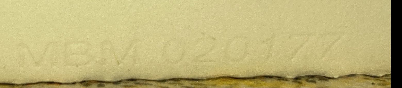 Pre-Owned Goyard Saigon Top Handle Bag Coated Canvas with Leather PM, Alternate, color, White