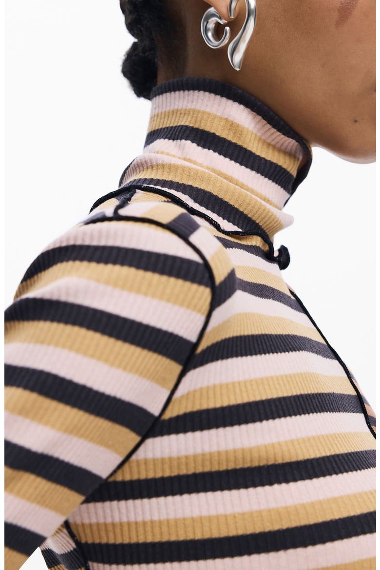 Colorblock Stripe Rib Turtleneck Top, Alternate, color, BROWN