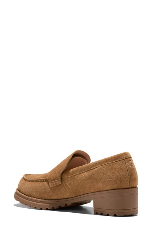 Cole Haan Camea Lug Sole Penny Loafer In Chestnut Golden