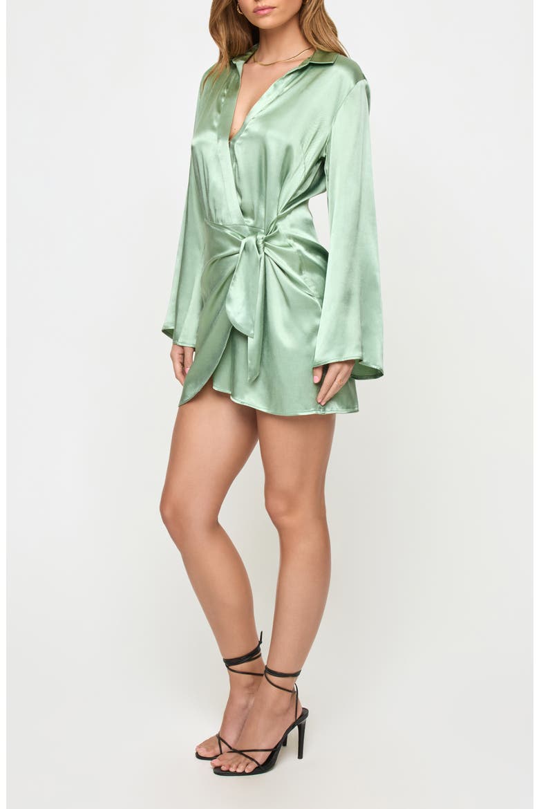 Las Palmas Long Sleeve Minidress, Alternate, color, CELADON