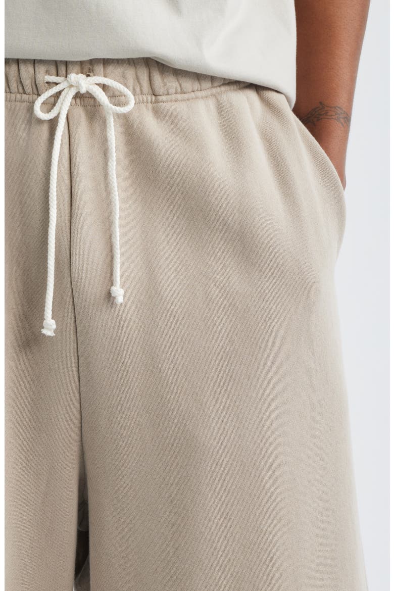 Core Big Sweat Shorts, Alternate, color, TAN