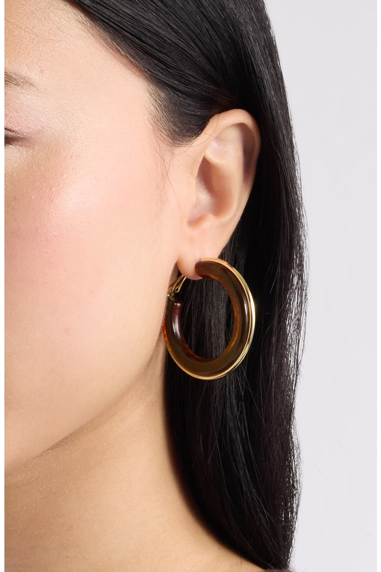 Resin Hoop Earrings, Alternate, color, BROWN- GOLD