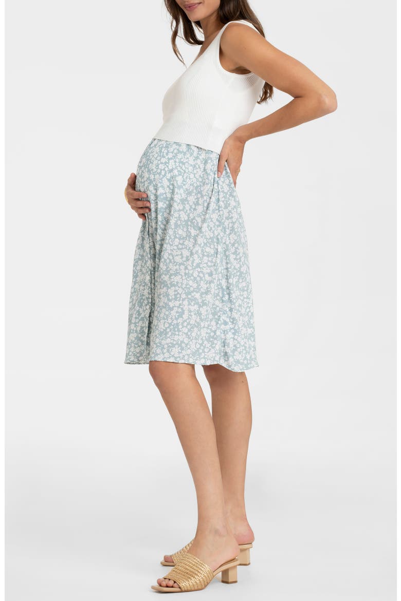 Sleeveless Maternity/Nursing Dress, Alternate, color, SAGE