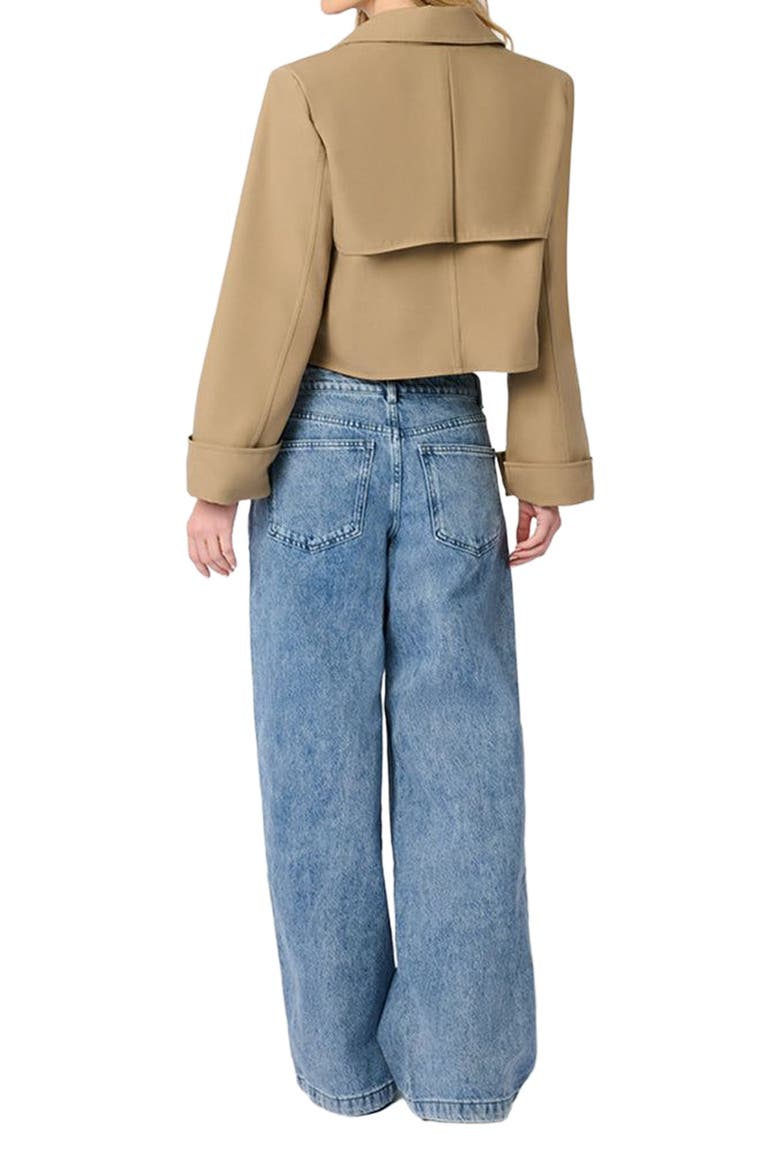 Cropped Trench Coat, Alternate, color, SOFT BROWN