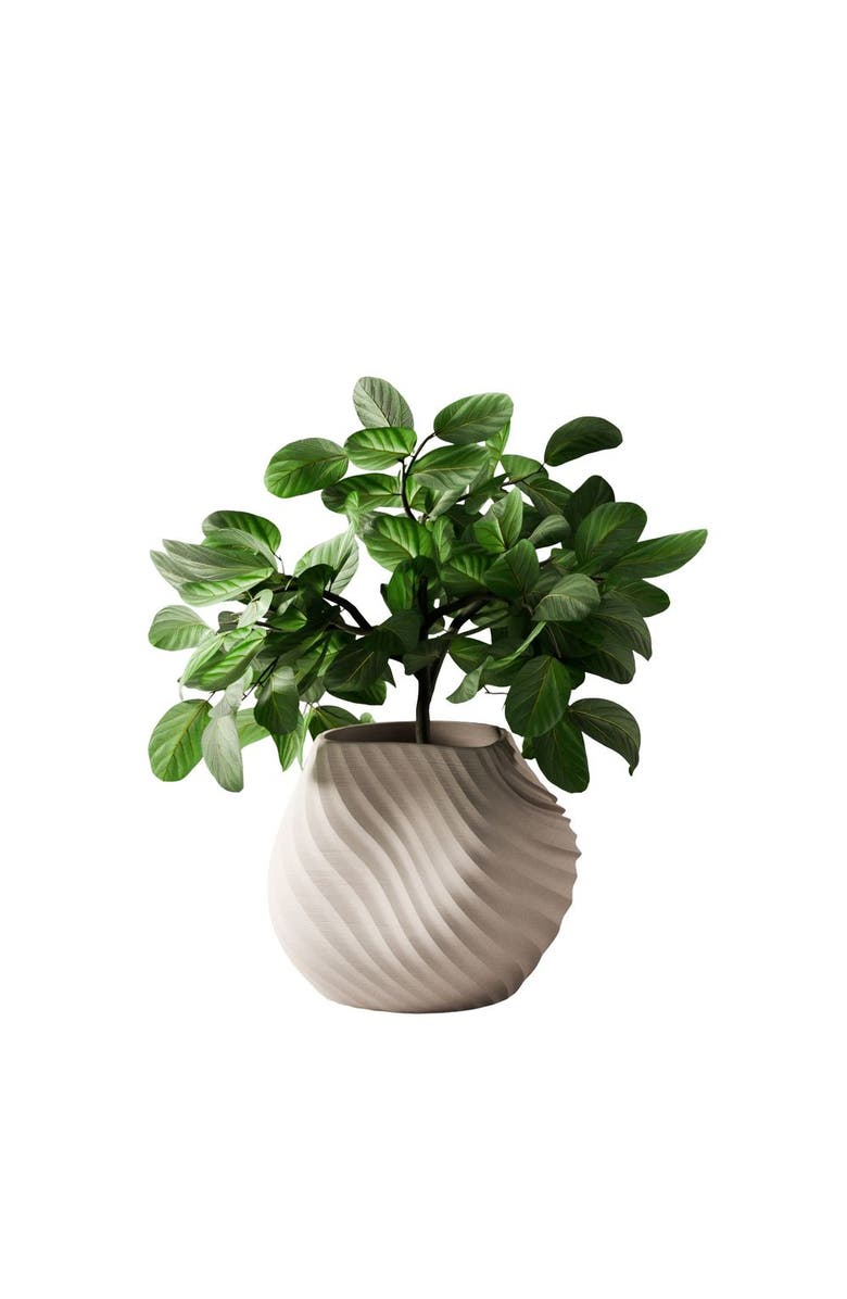 Modernized Pottery Sea Planter, Main, color, Off White - 3"