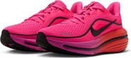 Nike Air Winflo 12 Running Shoe