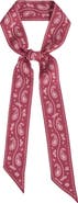 Lost Pattern "Paisley" Silk Twill Skinny Scarf