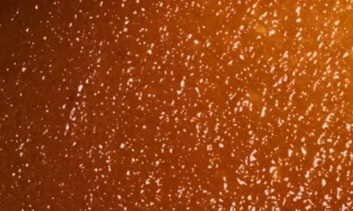 Shop Fresh ® Sugar Face Polish Exfoliant In No Color