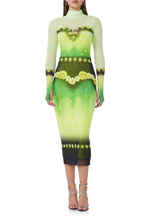 Shailene Long Sleeve Turtleneck Mesh Dress