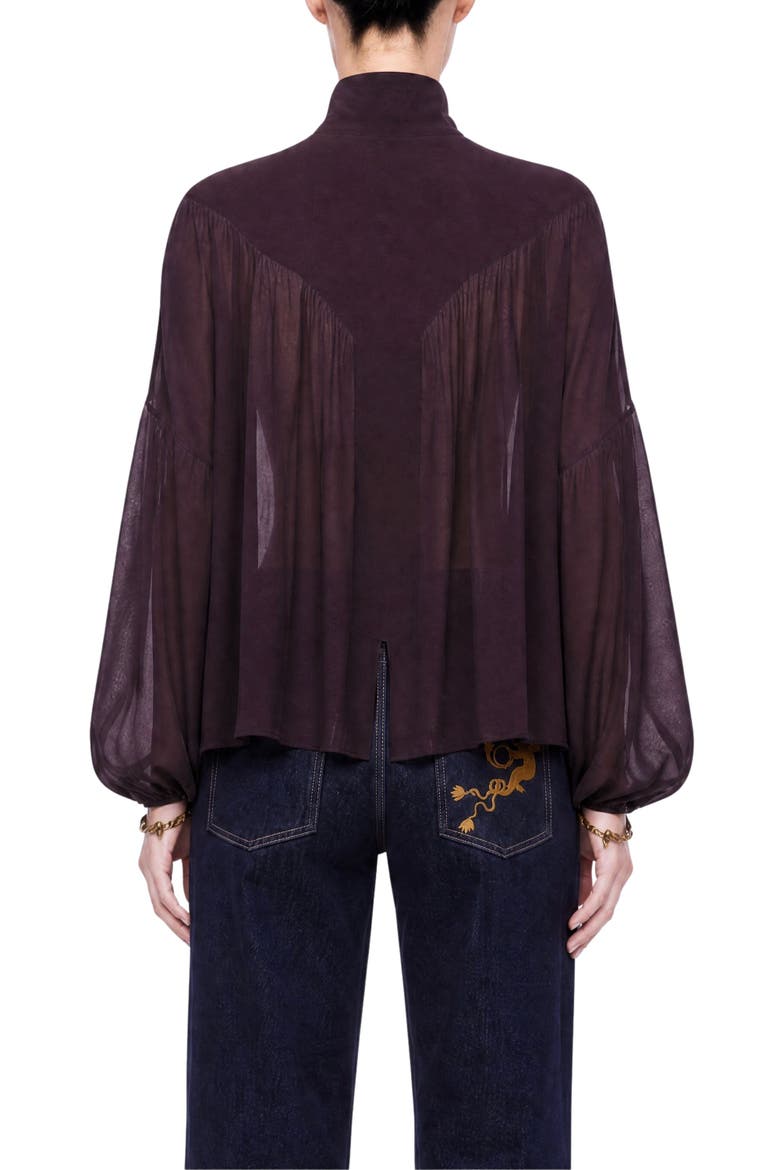 Gathered Sheer Blouse, Alternate, color, Brown