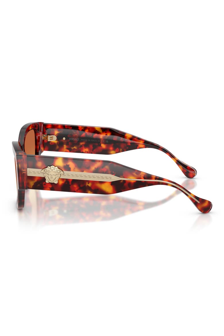 55mm Cat Eye Sunglasses, Alternate, color, RED HAVANA / YELLOW BROWN