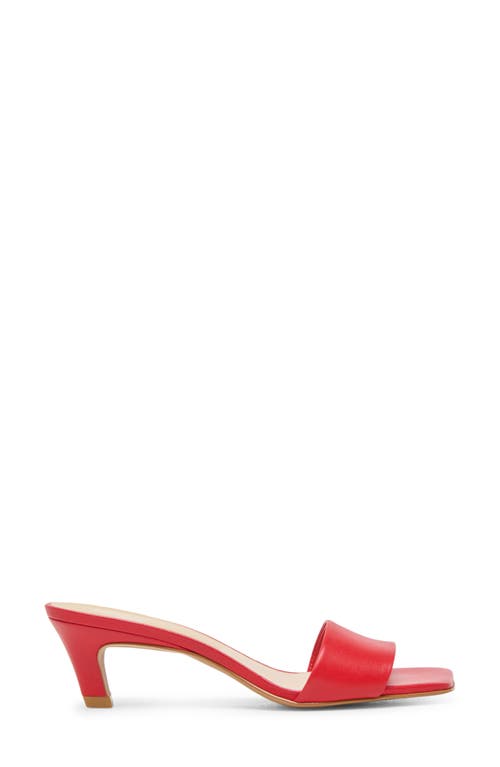 Dolce Vita Rexa Kitten Heel Slide Sandal