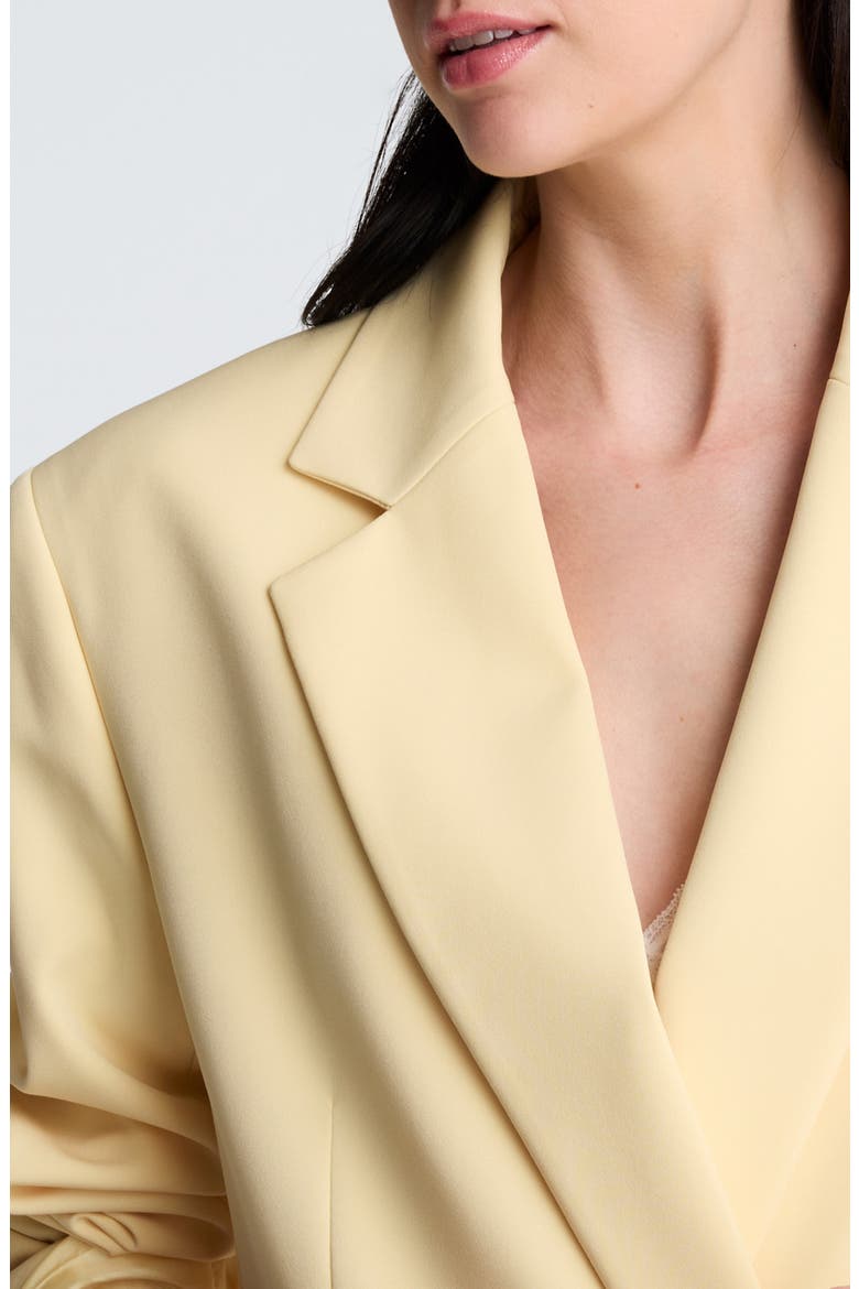 Oversize Double Breasted Jacket, Alternate, color, PASTEL YELLOW