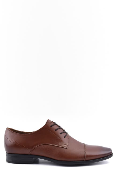 Aldo Marcel Cap Toe Derby In Tan