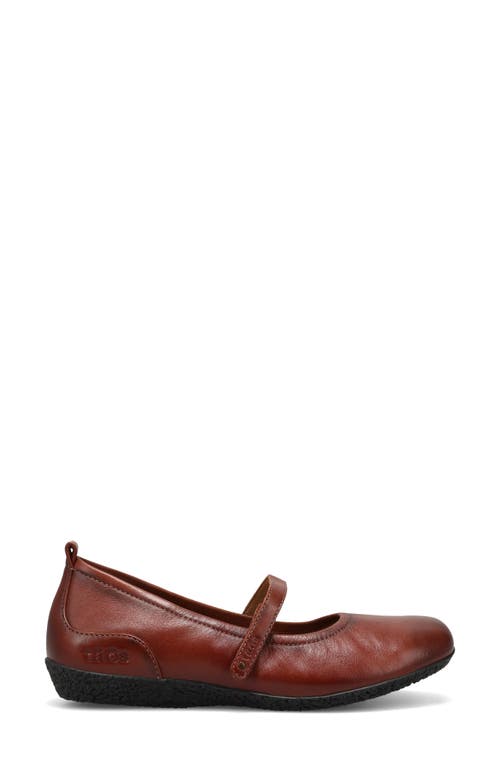 Taos Babble Mary Jane Flat In Multi