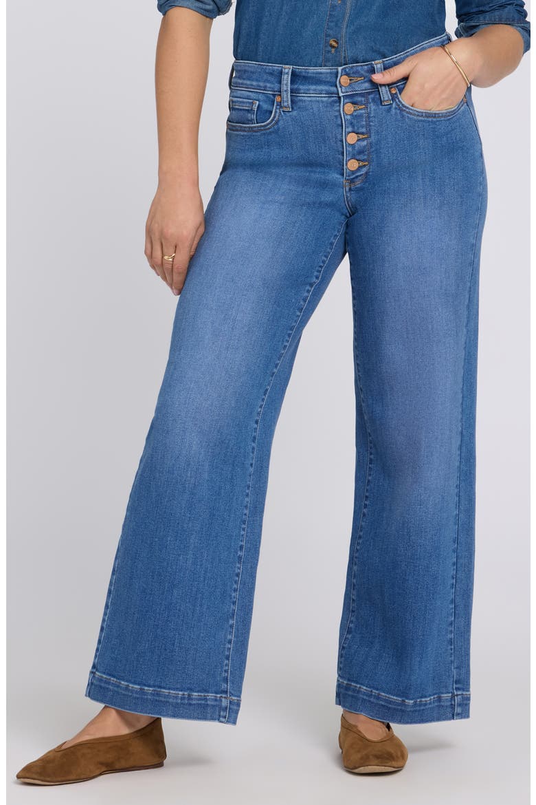 Teresa Exposed Button Wide Leg Jeans, Main, color, BLUE PARADISE