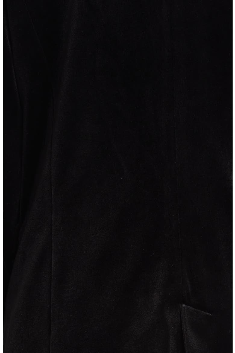 Velvet One-Button Blazer, Alternate, color, CLOSING TIME
