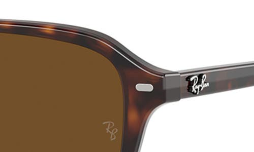 Ray Ban Ray-ban Raimond 58mm Polarized Transition Square Sunglasses In Havana