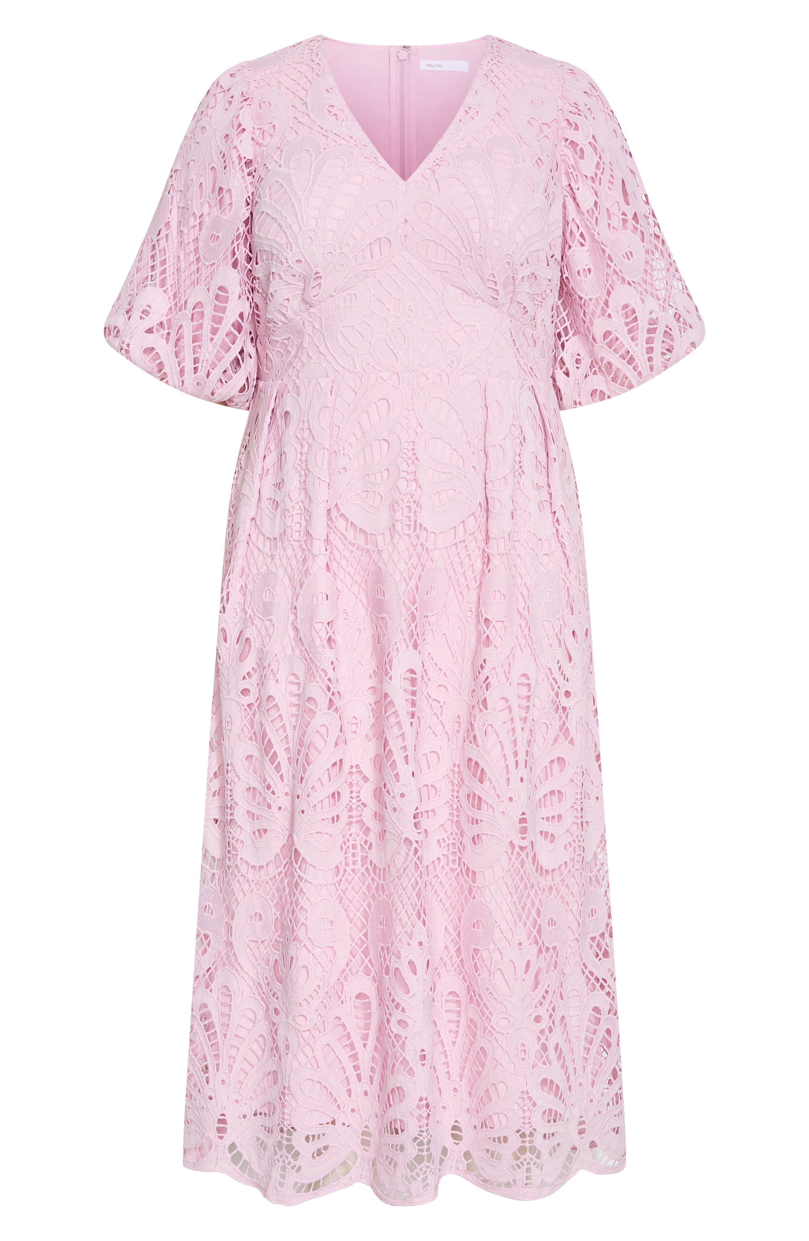 selected SOFT ROSE