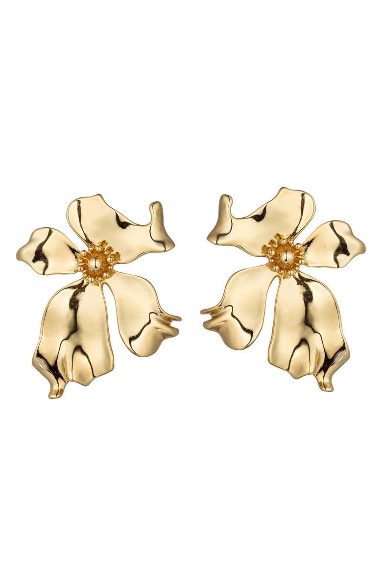 EYE CANDY LOS ANGELES The Luxe Collection Georgia Earrings, Main, color, Gold