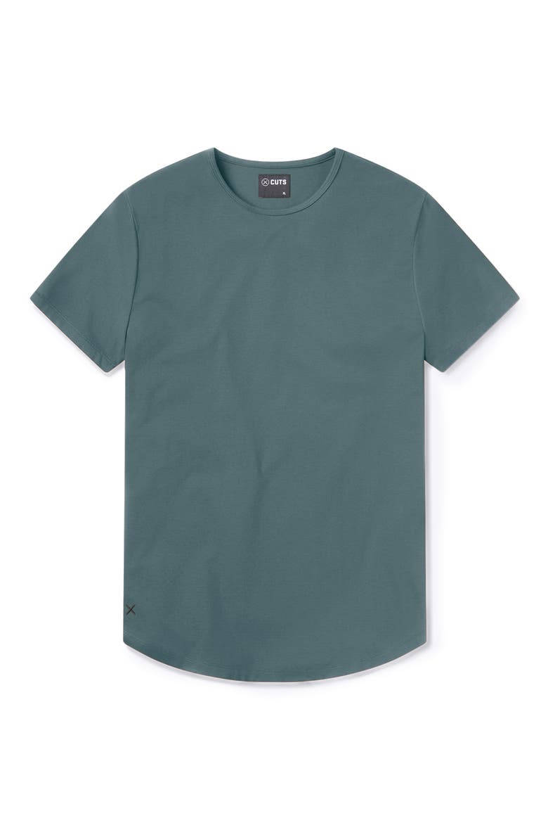 AO Curve Hem Cotton Blend T-Shirt, Alternate, color, NORTH ATLANTIC