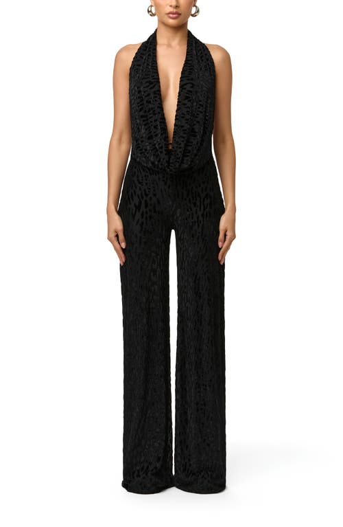 Naked Wardrobe Burnout Halter Jumpsuit in Black at Nordstrom, Size Small