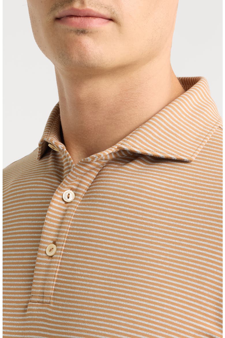 Lyons Stripe Summer Comfort Long Sleeve Performance Jersey Polo, Alternate, color, DARK AMBER