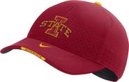 Nike Men's Nike Cardinal Iowa State Cyclones 2022 Sideline Classic99 Swoosh Performance Flex Hat