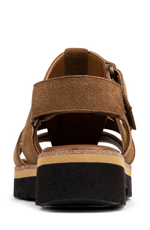 Donald Pliner Pryme Lug Sole Fisherman Sandal In Saddle