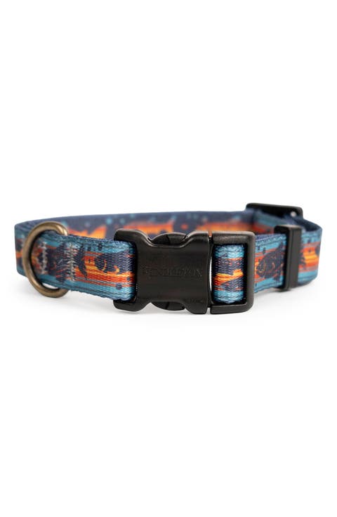 Adventure Dog Collar