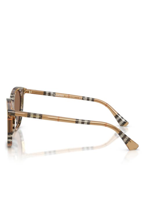 Burberry Be4455f Round Acetate Sunglasses In Dark Brown