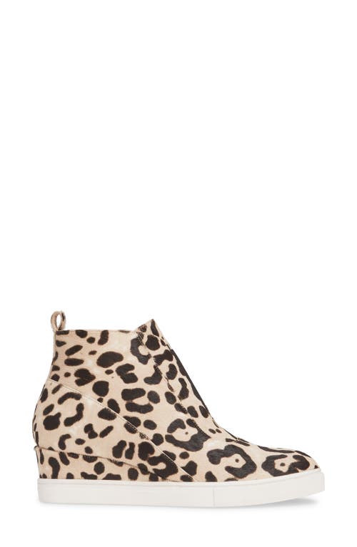 Linea Paolo Anna Wedge Sneaker In Multi