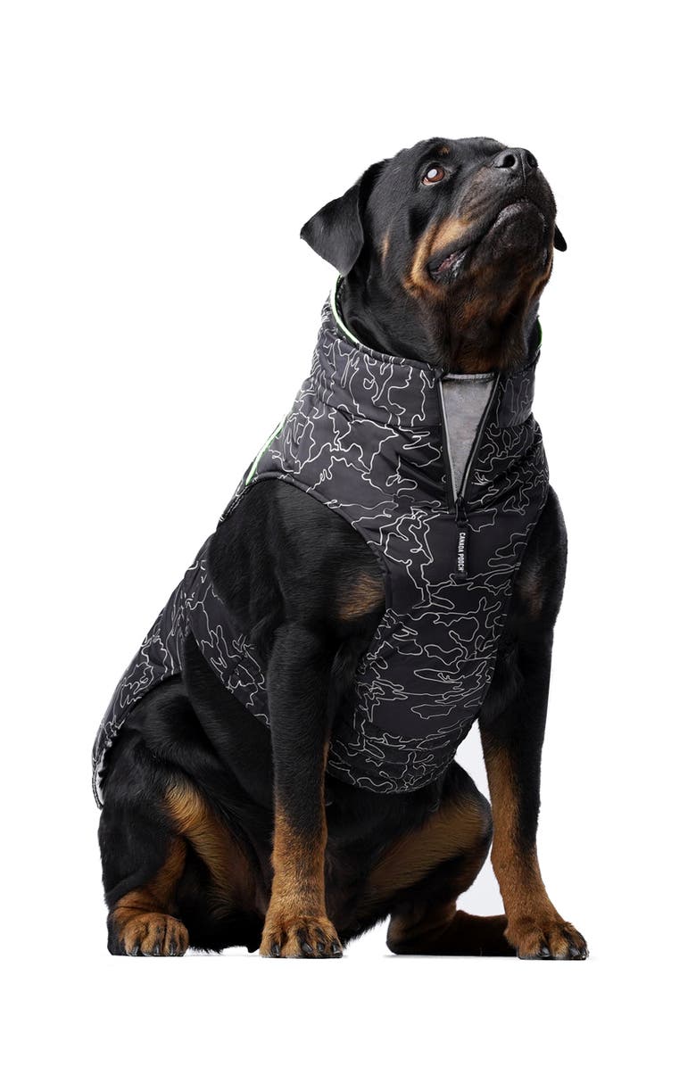 Canada Pooch The Expedition 2.0 Water Resistant Coat, Main, color,