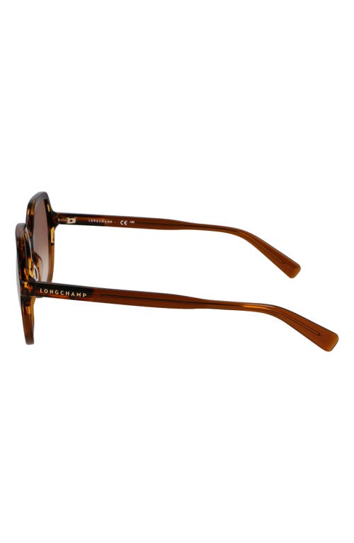 Longchamp Heritage 56mm Gradient Modified Rectangular Sunglasses In Striped Brown/brown