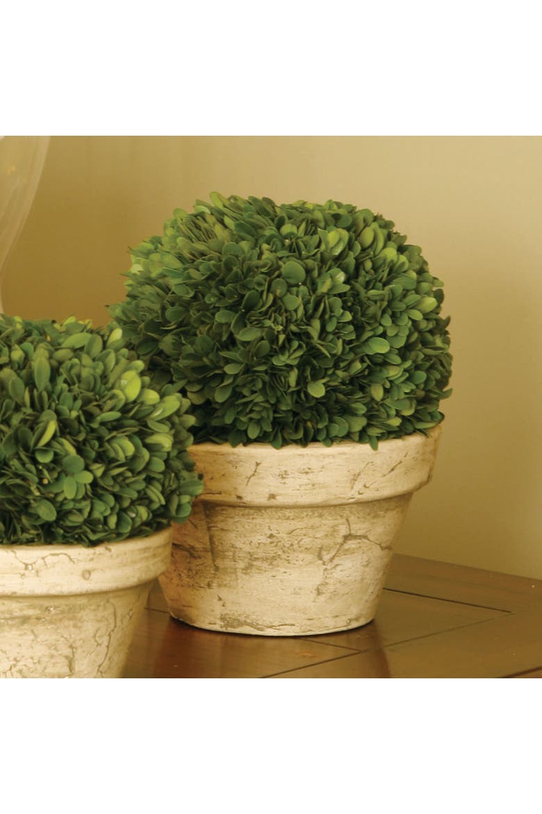 Boxwood Ball In Pot Large, Alternate, color, Brown