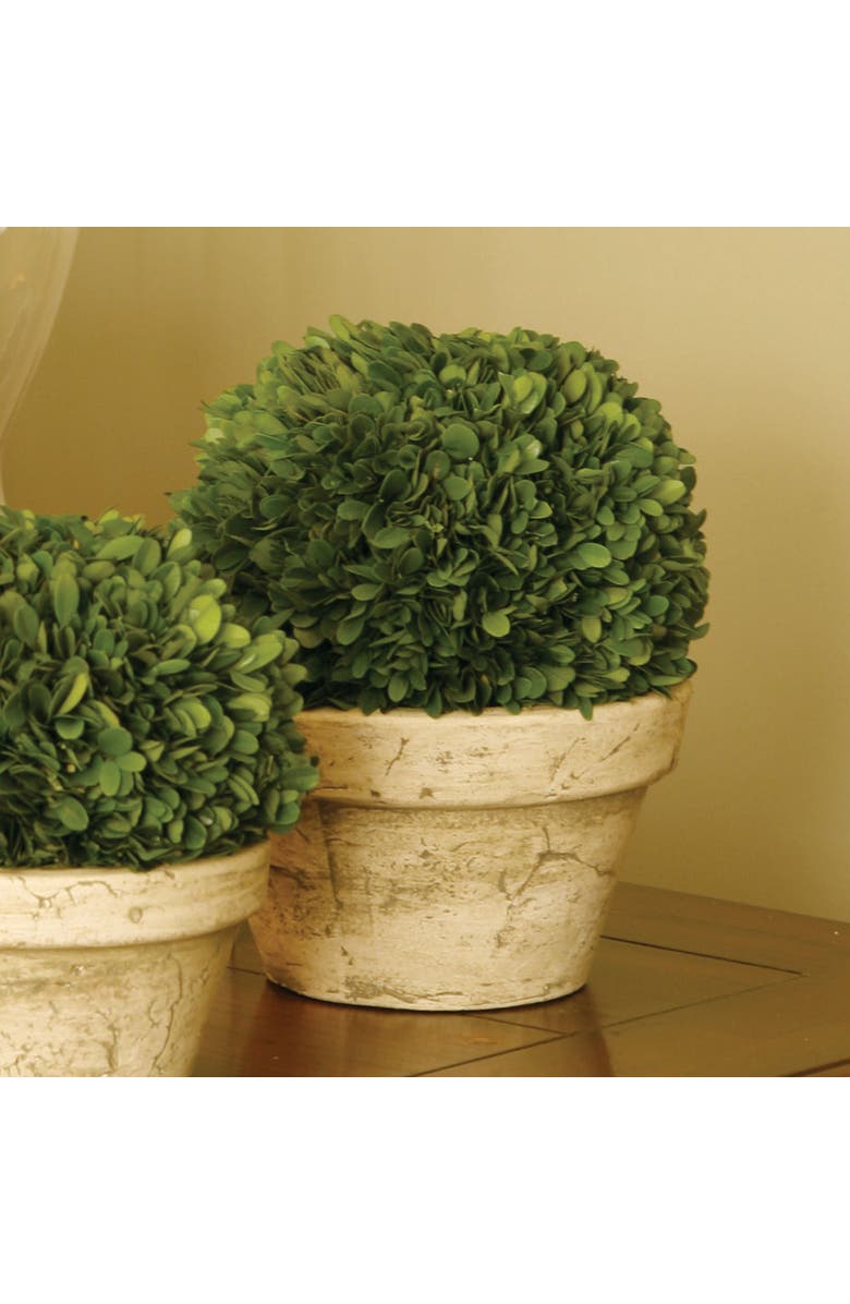 Napa Home & Garden Boxwood Ball In Pot Large, Alternate, color, Brown