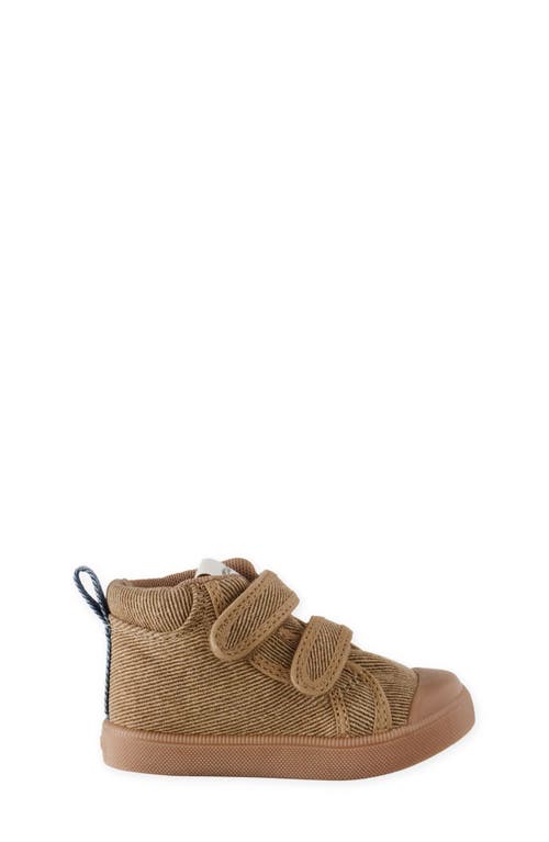 Pehr Kids' Field Trip Sneaker In Black
