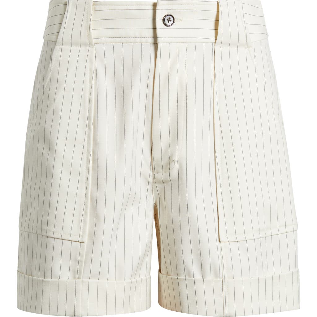 Rails Maryam Pinstripe Cargo Shorts In Birch Pinstripe