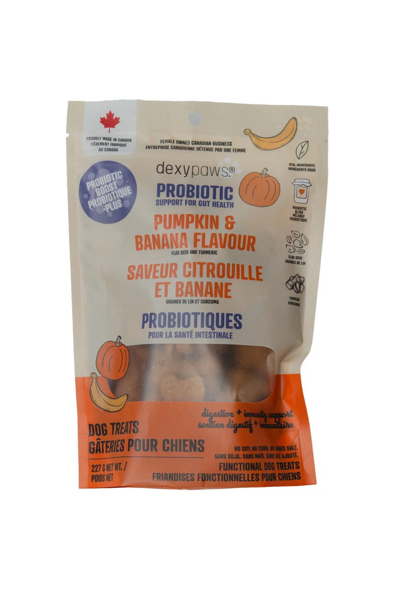 Pumpkin & Banana 8oz Probiotic Dog Treats, Main, color, Orange