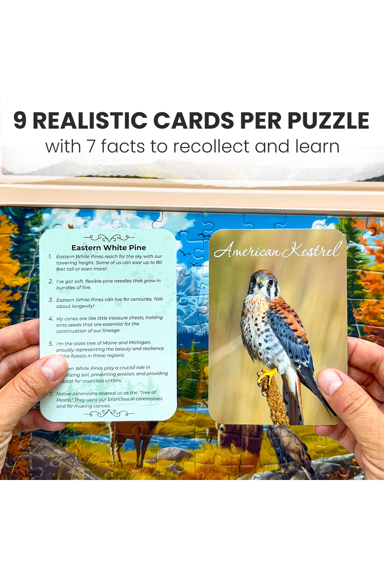 100-Piece Cognitive Activity Puzzles - Large Piece Jigsaw Puzzle Set for Seniors, Alternate, color, Picturesque Views