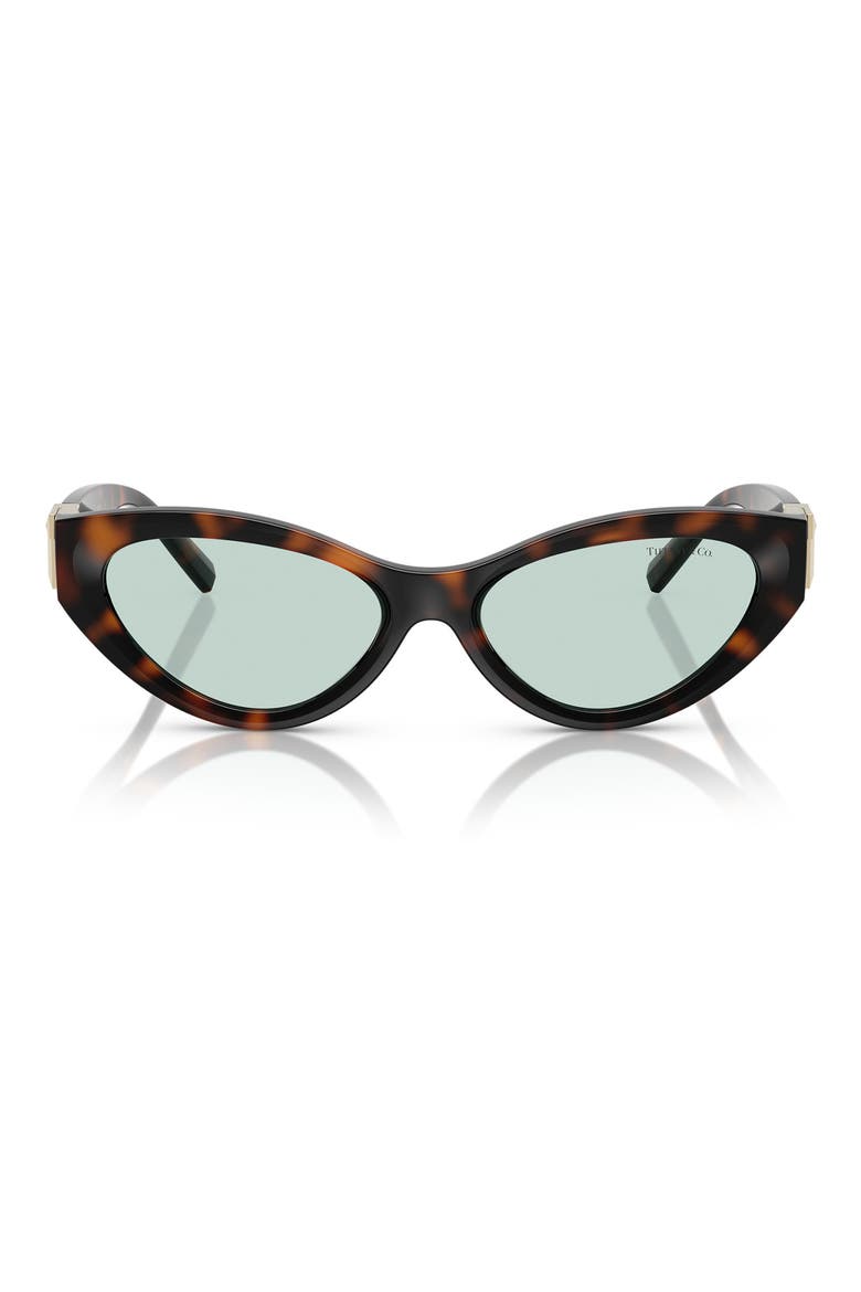 54mm Oval Sunglasses, Main, color, HAVANA