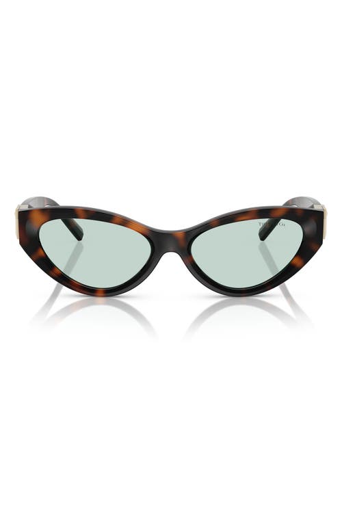 Tiffany & Co. 54mm Oval Sunglasses in Havana 