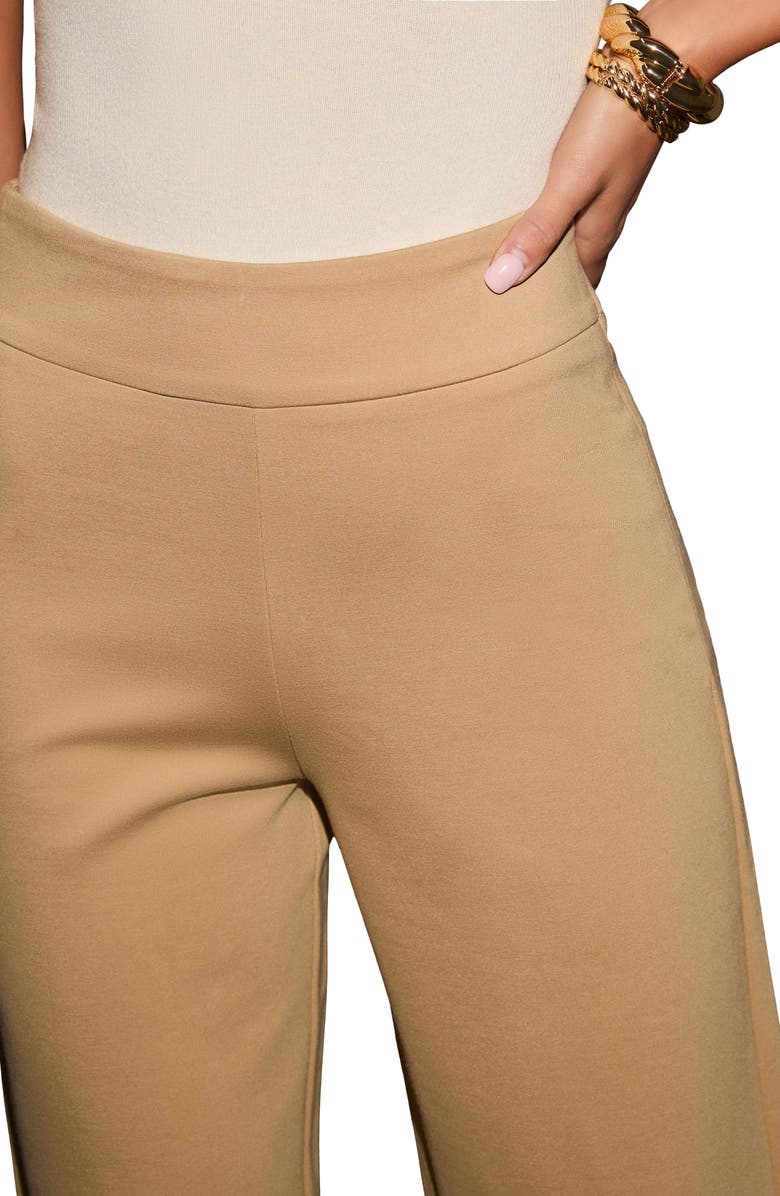 VICI Collection Always On Time Wide Leg Pants, Alternate, color, 