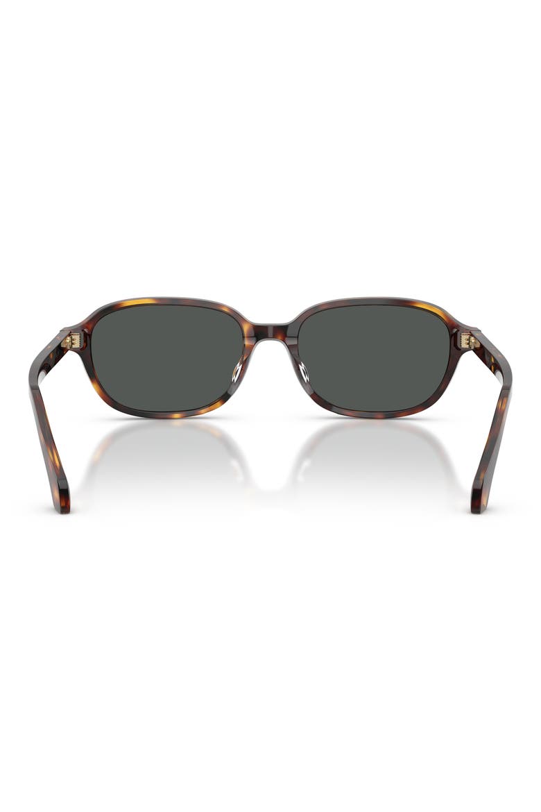 53mm Pillow Sunglasses, Alternate, color, HAVANA / DARK BROWN