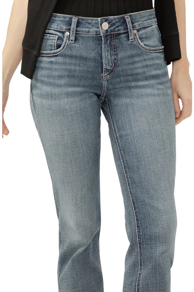 Elyse Slim Straight Leg Jeans, Alternate, color, BETTY