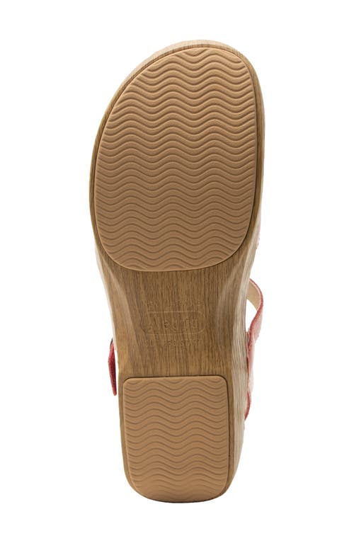 Alegria By Pg Lite Opal Ankle Strap Platform Clog In Pink