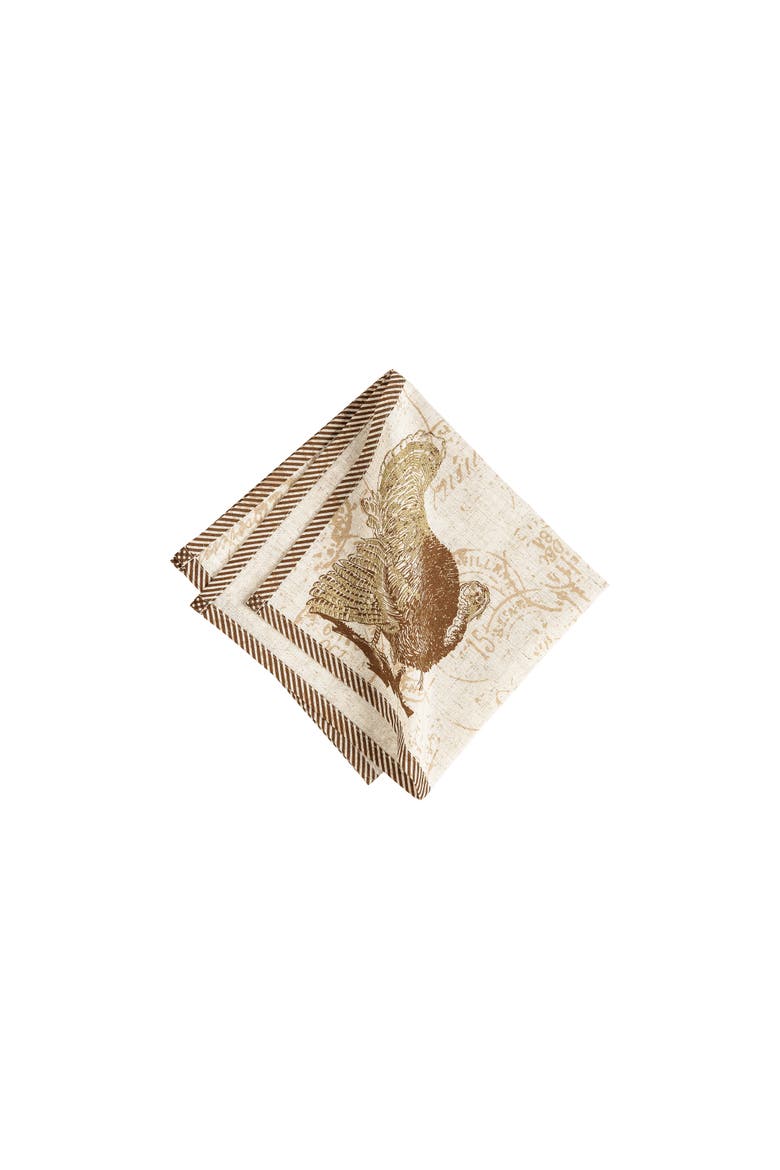 Elegant Turkey Thanksgiving Set of 6 Cloth Napkins, Main, color, brown