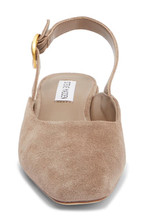 Steve Madden Diona Slingback Pump In Brown